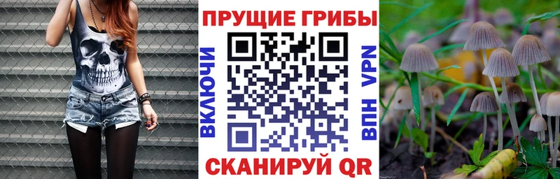 Псилоцибиновые грибы MAGIC MUSHROOMS  Большой Камень 